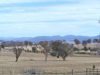 Across the paddocks