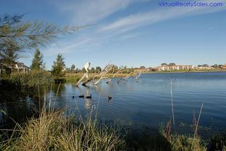 Nearby Yerrabi Pond