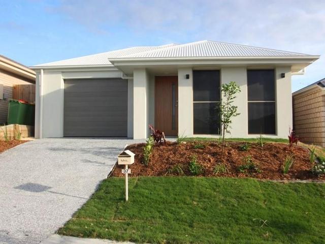 37 Greenwich Avenue, QLD 4209