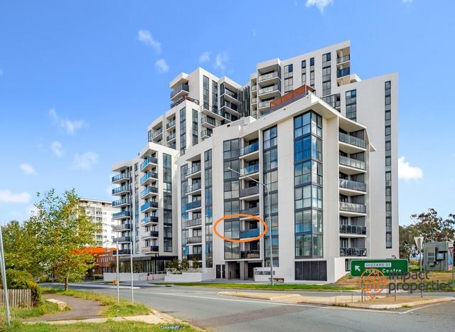 223/87 Gozzard Street, ACT 2912