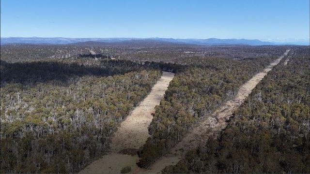 Lot 17 East Bago Powerline Road, NSW 2653