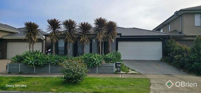 11 Bernfae Avenue, VIC 3978