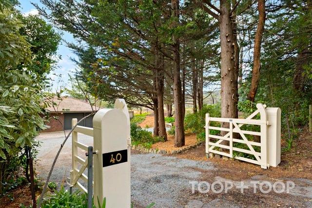 40 Hill Street, SA 5152