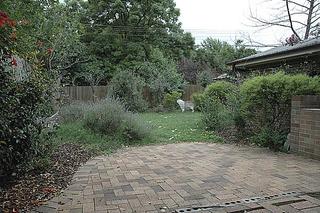 Rear yard (2005-02-05)