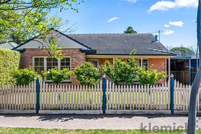 16 Ripon Road, SA 5034