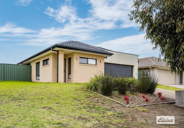 36 Driver Terrace, NSW 2640