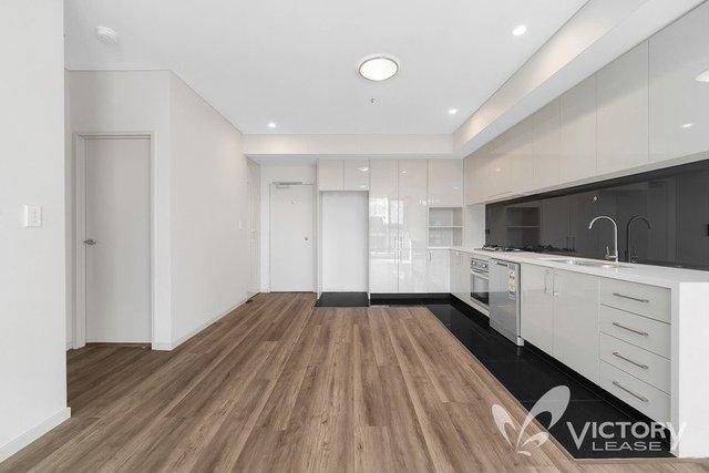 701/17 Joynton  Avenue, NSW 2017