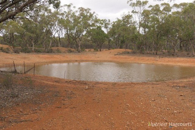 * Yarranvale, NSW 2831