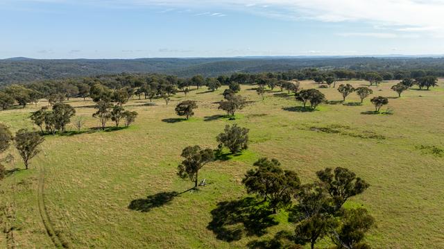 874 Ramah Road, NSW 2365