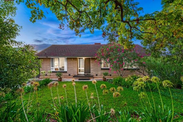 25 Cranborne St, SA 5113