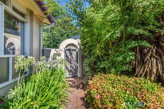 D6S_4783.jpg (2019-04-30)