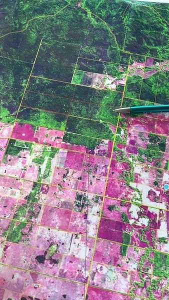 LOTS 34-39/221, 520 Pelican Back Road, QLD 4413