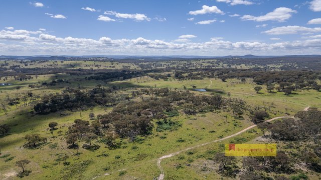479 Wallawaugh Road, NSW 2850