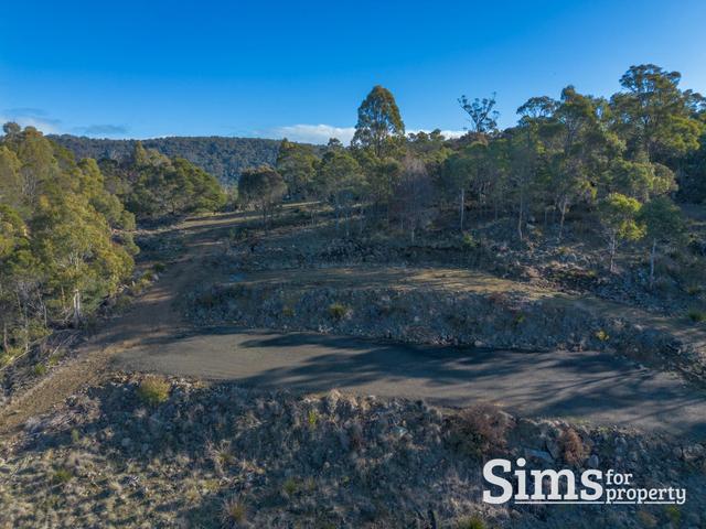 101A Blackstone Road, TAS 7250