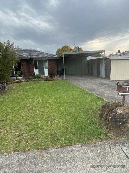3 McLean Ave, VIC 3842