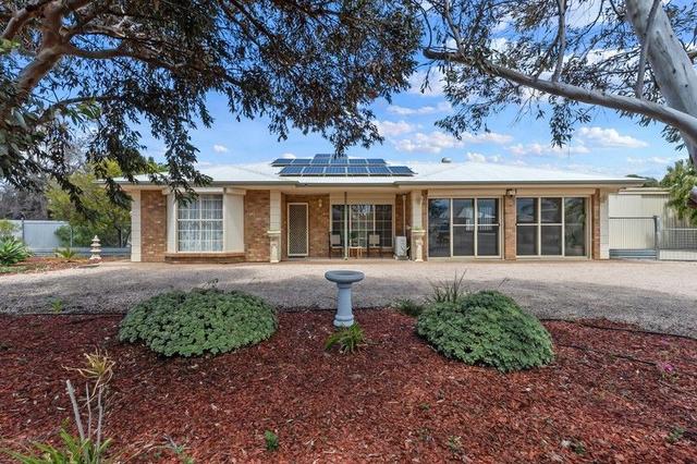 20 North Terrace, SA 5558