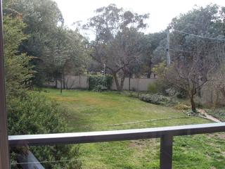 Backyard (2011-04-29)