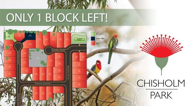 Potoroo Avenue, NSW 2640