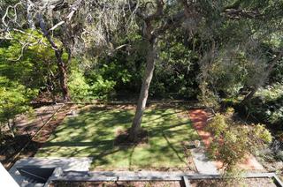 Tranquil Bush Outlook from your Deck