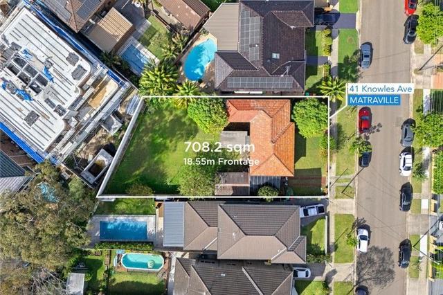 41 Knowles Avenue, NSW 2036