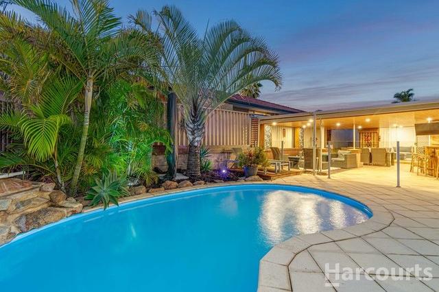11 Bainbridge Mews, WA 6028