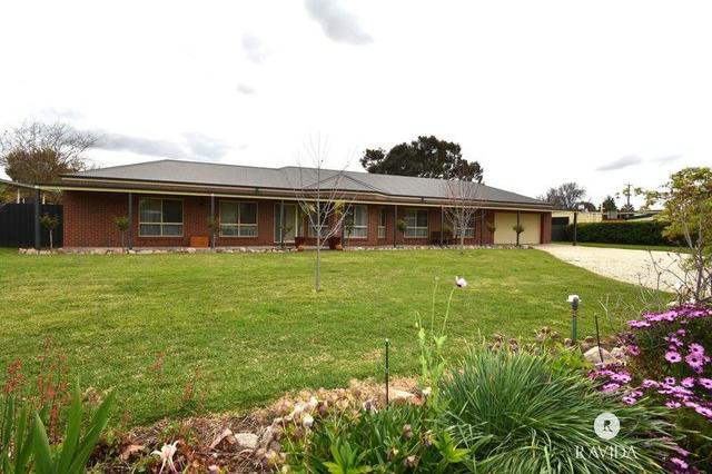 53 Ely Street, VIC 3678