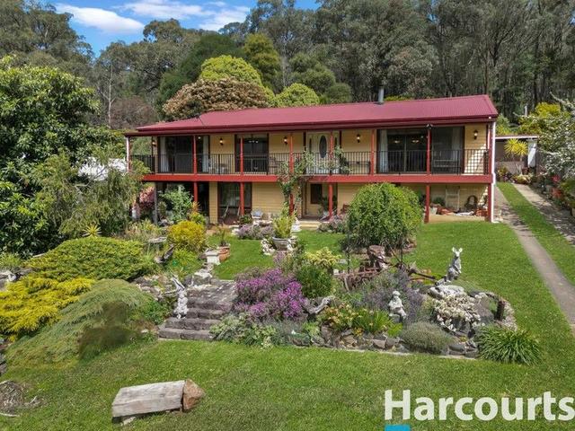 51 Matthew Street, VIC 3833