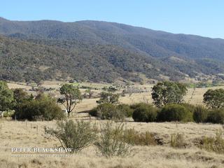 Bumbalong Valley