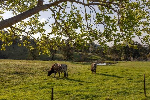 526 Windeyer Road, NSW 2850