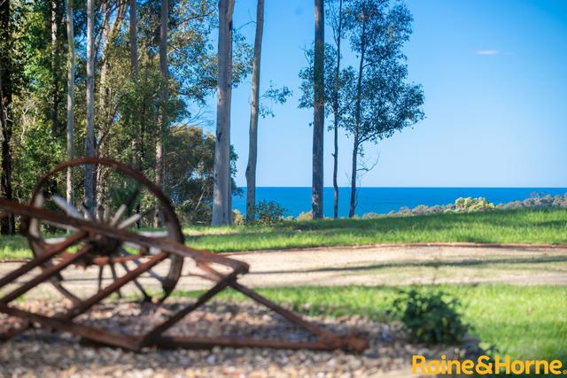 572 The Ridge Road, NSW 2536