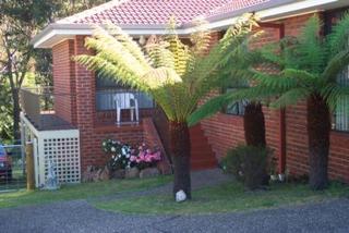 Side of house (2006-06-21)