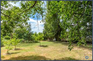 Garden One 