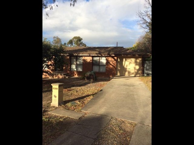 27 Muresk Street, ACT 2607