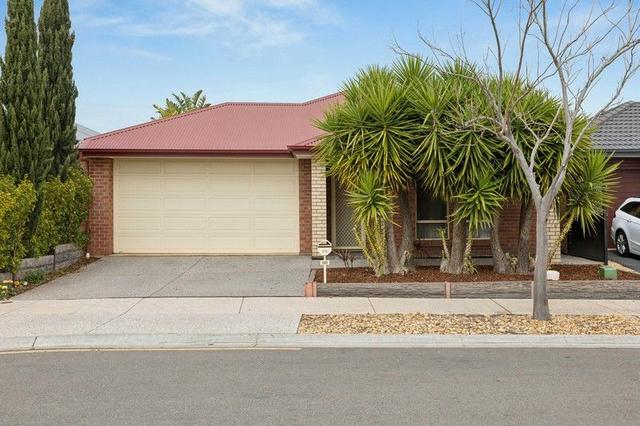 50 Margaret Street, SA 5114
