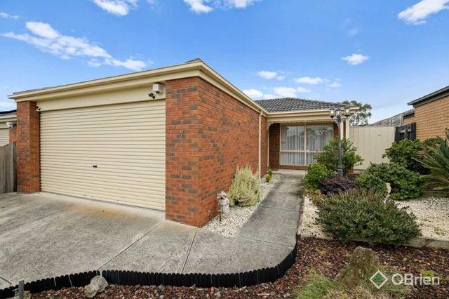 7 Sir Thomas Drive, VIC 3810