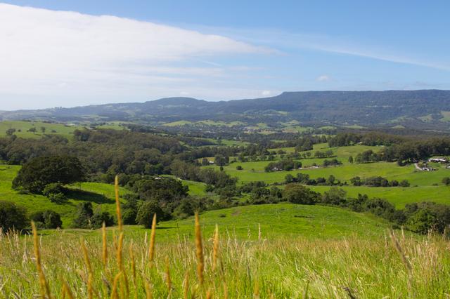 162 North Curramore Road, NSW 2533