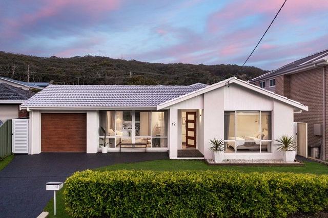 12 Joan Street, NSW 2260