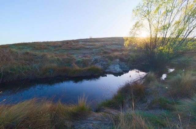 83 Shinglehouse Road, NSW 2621