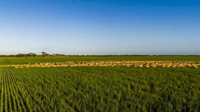 1579 Chappel Road, VIC 3420