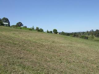 Main Photo (2010-11-05)