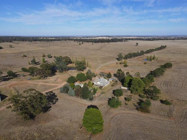 'Woodbine Park' 397 Mugincoble Lane, NSW 2870