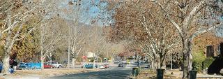 View of street (2005-11-24)