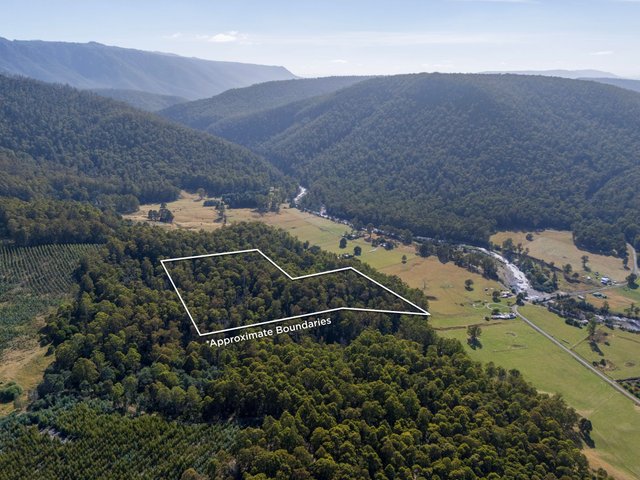 Lot 5 Liena Road, TAS 7304