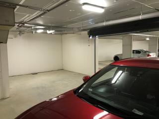 Garage with roller door (2018-12-20)