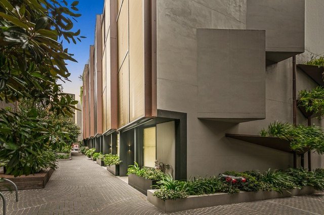 13/56 Mount Street, NSW 2009