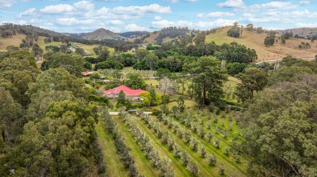 Lot 123 Chichester Dam Road, NSW 2420