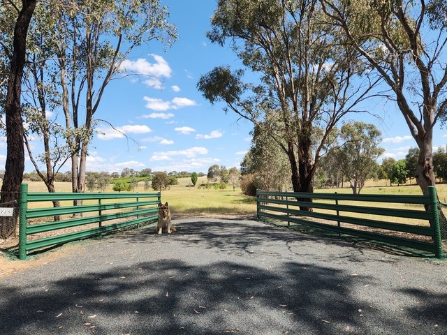 225 Belmore Road, NSW 2594