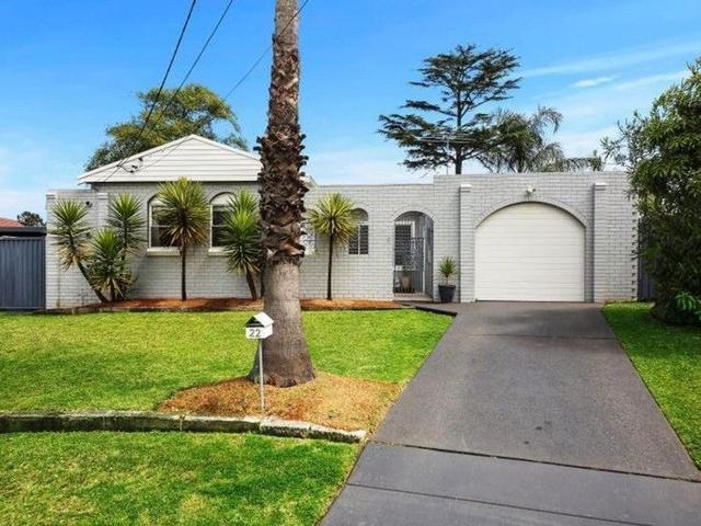 22 Atkinson Avenue, NSW 2211