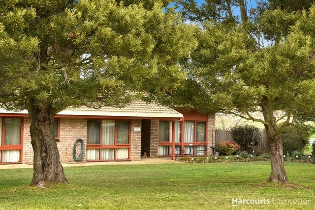 17 Edward Street, TAS 7300