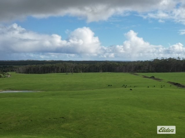 767 Mount Stanley Road, TAS 7256